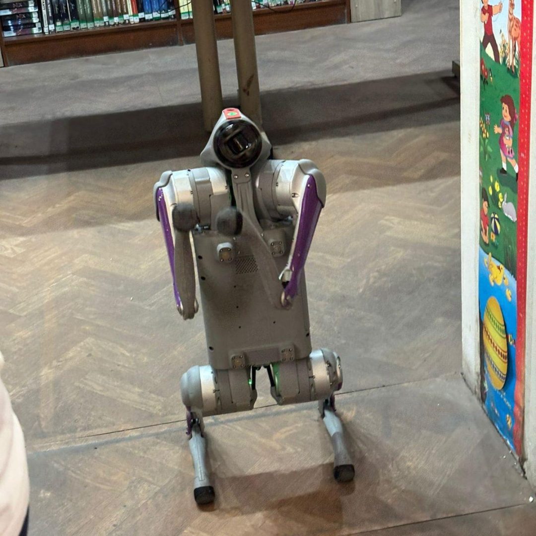 robotdog